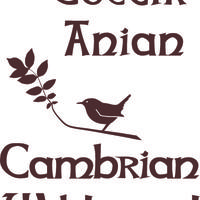 Coetir Anian
