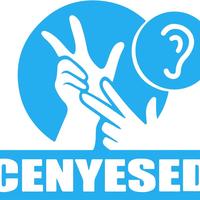 Centre Nguvu Yetu d'Enseignement Special pour les Enfants Defavorises
