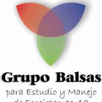 Grupo Balsas para Estudio y Manejo de Ecosistemas