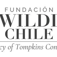 Rewilding Chile