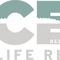 Aces Wildlife Rescue