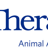 Therapet