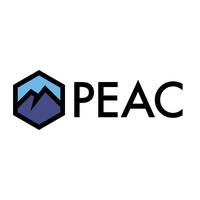 PEAC INSTITUTE A NJ NONPROFIT CORPORATION