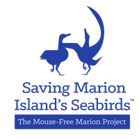 Mouse Free Marion NPC