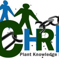 Coalition for human rights education