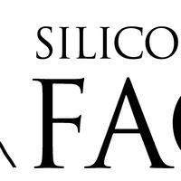 Silicon Valley FACES