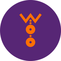 SAQFE Organization