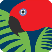 Rainforest Rescue