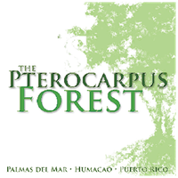PHA Pterocarpus Forest, Inc.