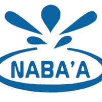 Developmental Action without Borders/Naba'a