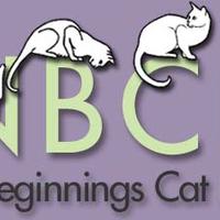 New Beginnings Cat Rescue