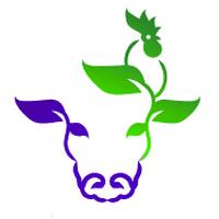 VINE