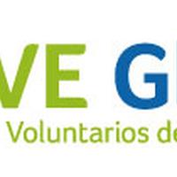 VE Global