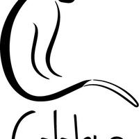 Colobus Conservation
