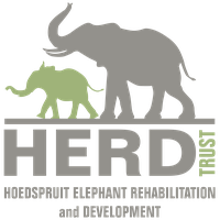 Hoedspruit Elephant Rehabilitation & Development