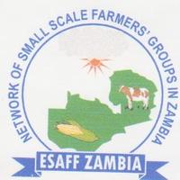 East and Southern Africa Small scale Farmers Forum(ESAFF) Zambia.