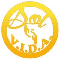 Sol es VIDA, Inc.