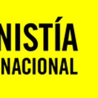 Asociacion Civil Pro-Amnistia