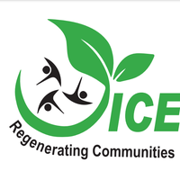 Youth Initiative for Community Empowerment
