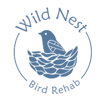 Wild Nest Bird Rehab, Inc.