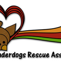 Avian Underdogs Rescue Association