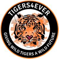 Tigers4Ever