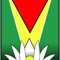 Blossoms of Guyana