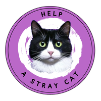 Help a Stray Cat
