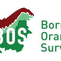 Borneo Orangutan Survival UK Ltd