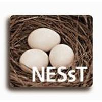 Nonprofit Enterprise & Self Sustainability Team