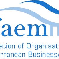 Asociacion de Federaciones y Asociaciones de Empresarias del Mediterraneo