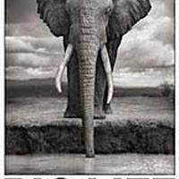 Big Life Foundation USA