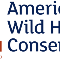 American Wild Horse Preservation Campaign