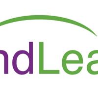MindLeaps