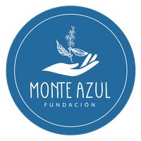 Monte Azul Inc