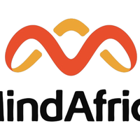 MindAfrica Leadership Initiative