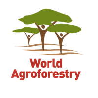 International Centre for Research in Agroforestry