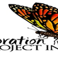 Restoration Project International