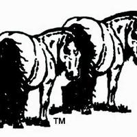 PERSONAL PONIES LTD
