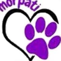 CANAKKALE MORPATI DERNEGI (CANAKKALE PURPLEPAWS ASSOCIATION=