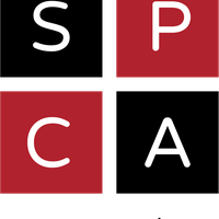 Montreal SPCA