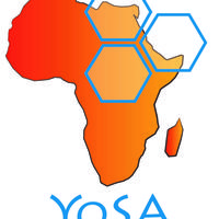 Young Scientists for Africa