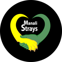 Manali Strays