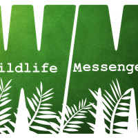Wildlife Messengers