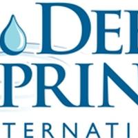 Deep Springs International