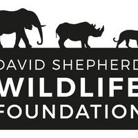 David Shepherd Wildlife Foundation