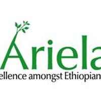 The Ariela Foundation