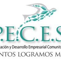Programa de Educacion Comunal de Entrega y Servicio, Inc.