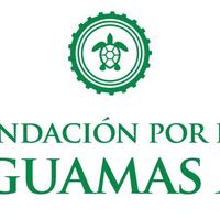 Fundacion por las Caguamas A.C.