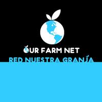 Patricio Buenrostro-Gilhuys - Individual Grantee